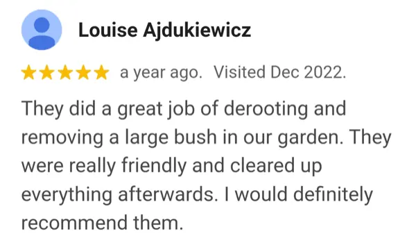 Customer testimonial review for AllJos professional cleaning